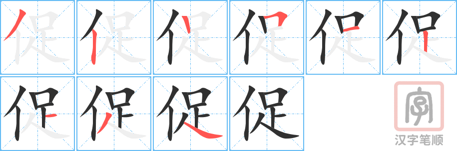 促的笔顺分步演示（一笔一画写字）