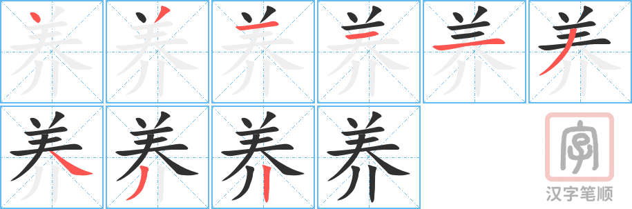 养的笔顺分步演示（一笔一画写字）