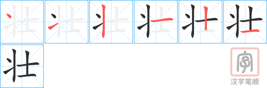 壮的笔顺分步演示（一笔一画写字）