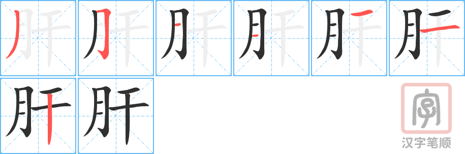 肝的笔顺分步演示（一笔一画写字）