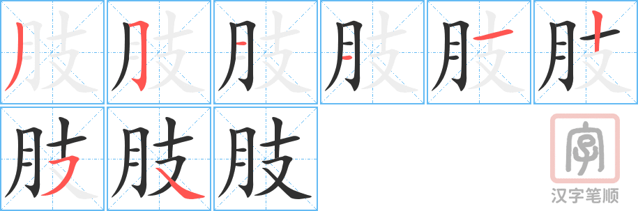 肢的笔顺分步演示（一笔一画写字）