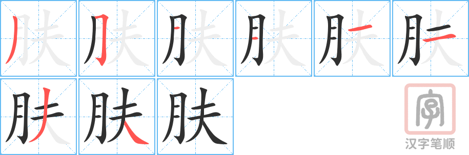 肤的笔顺分步演示（一笔一画写字）