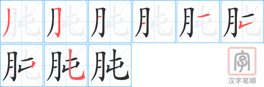 肫的笔顺分步演示（一笔一画写字）