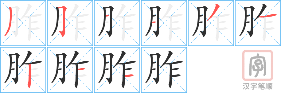 胙的笔顺分步演示（一笔一画写字）