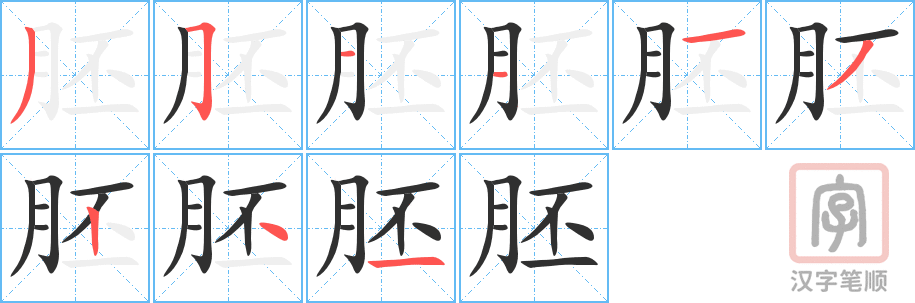 胚的笔顺分步演示（一笔一画写字）