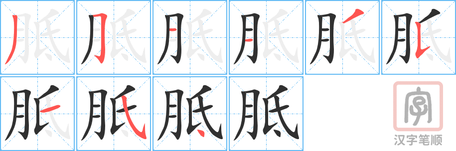 胝的笔顺分步演示（一笔一画写字）