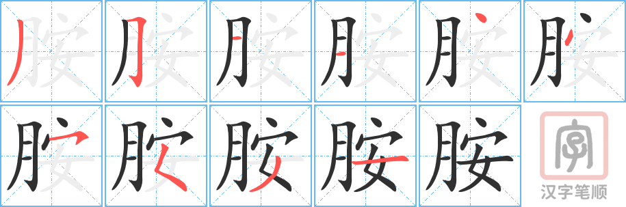 胺的笔顺分步演示（一笔一画写字）