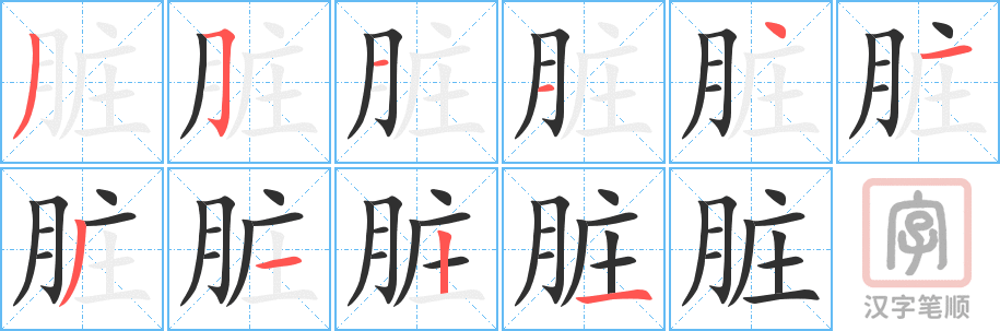 脏的笔顺分步演示（一笔一画写字）