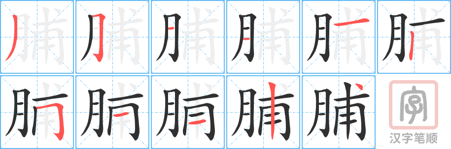 脯的笔顺分步演示（一笔一画写字）