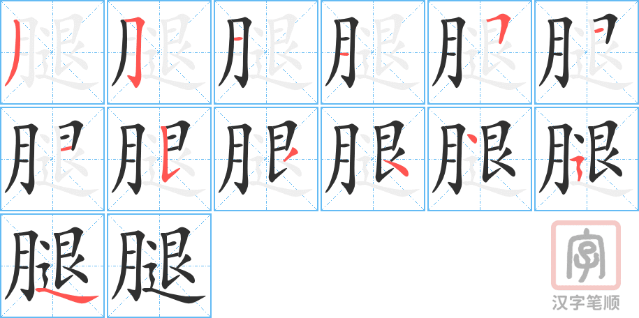 腿的笔顺分步演示（一笔一画写字）