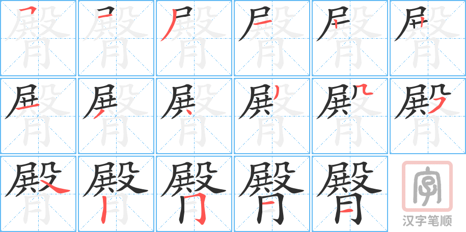 臀的笔顺分步演示（一笔一画写字）