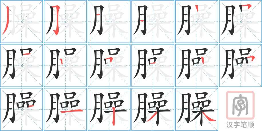 臊的笔顺分步演示（一笔一画写字）