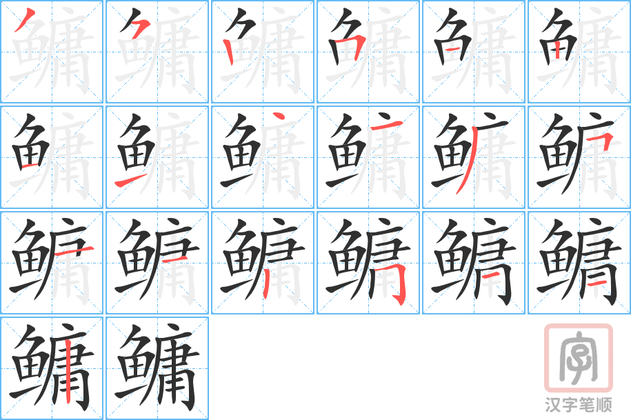 鳙的笔顺分步演示（一笔一画写字）